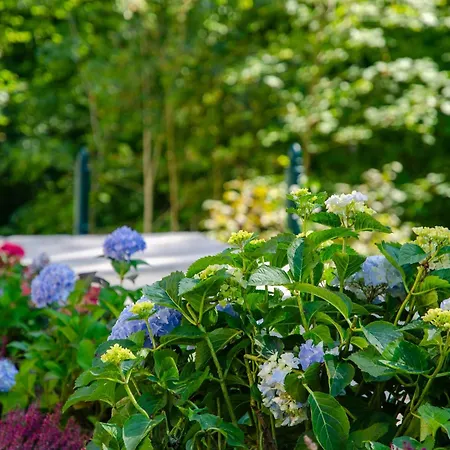 Hébergement de vacances Am Wappach *